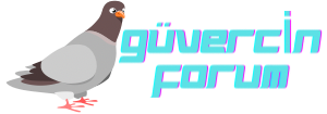 Güvercin Forum - Türkiye'nin Güvercin Forumu